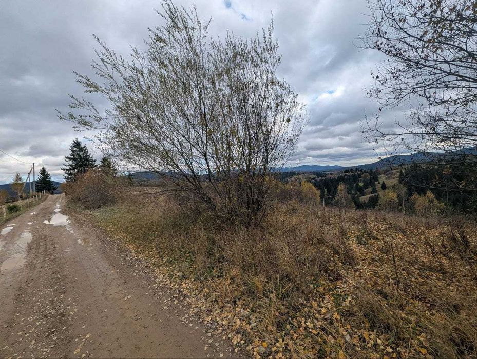 ділянка в Карпатах(Яблуниця)