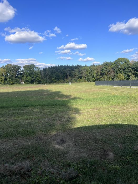 Dzialka przy lesie, obok Trzebnicy