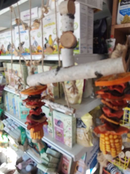 Еко іграшки для папуг