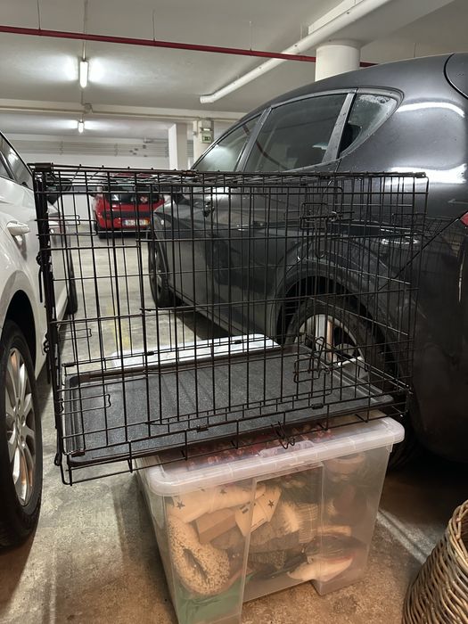 Jaula para cão ao gato