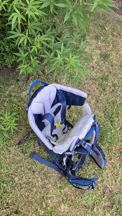 Deuter Kid Comfort – Mochila porta-bebé/criança para caminhadas