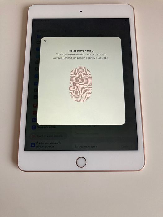 iPad Mini 5 256 Gb Gold 92%