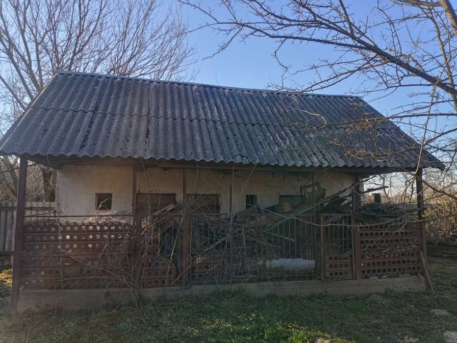 Велике БУДИНКОВОЛОДІННЯ у с. Балажер 7км до Берегова, ділянка 16 соток