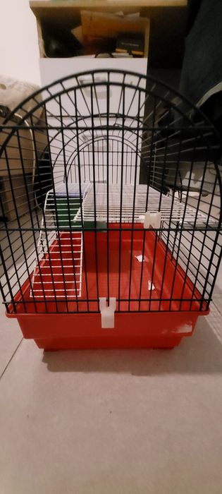 Gaiola para roedor