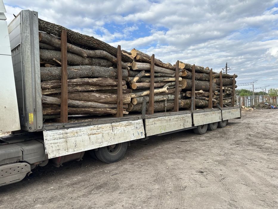 Дрова Дуб, Ясень (колоті та метровка) Харків та область. Доставка
