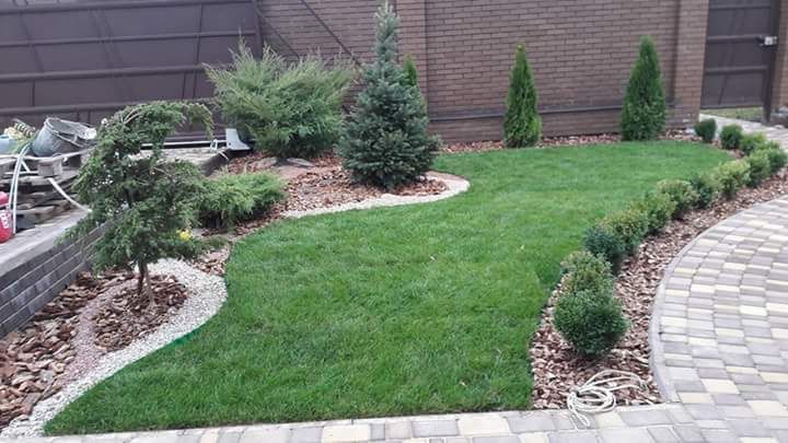 Аэрация, вычесывание.Озеленение. Укладка рулонного газона. Ландшафт.