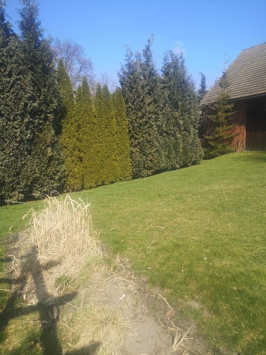 Działka budowlana w Pyskowicach