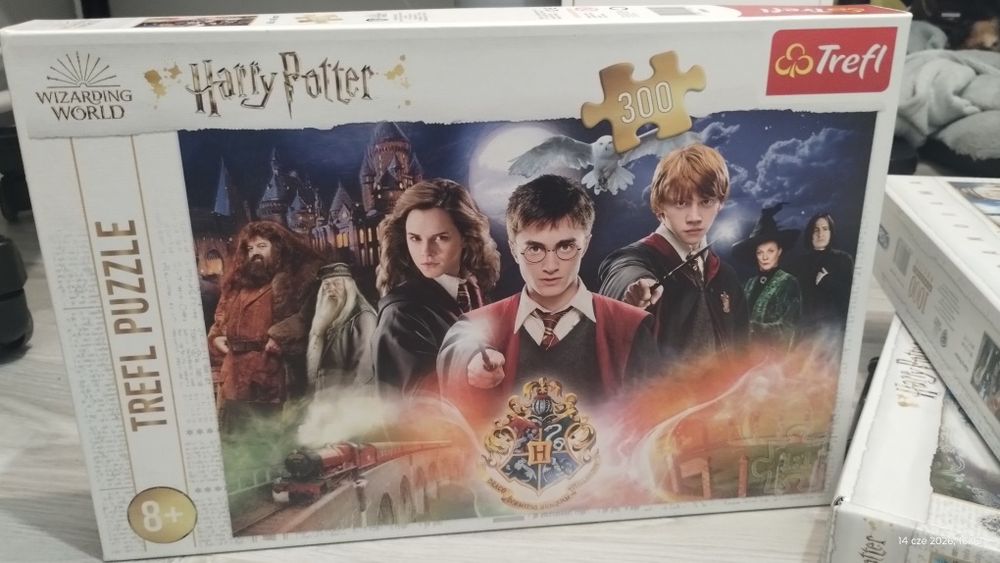 Zestaw Harry Potter 300 elementów.