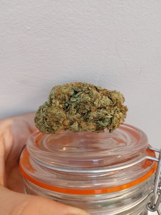 Super Skunk #1 Oryginał Susz CBD / THC