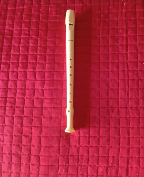 School Recorder64284988067585121