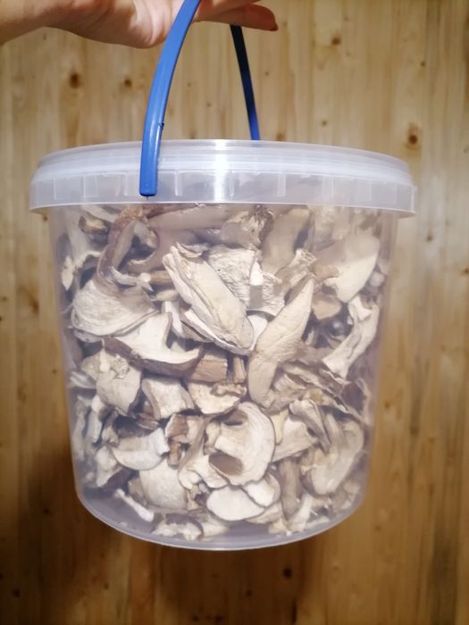 Мариновані опеньки 2025!!!