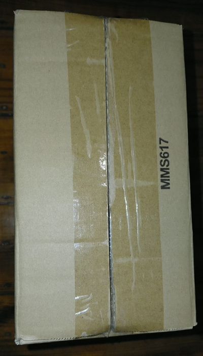 Hot Toys 1/6th Scale Back to the Future III Doc Brown (MMS617) MIB