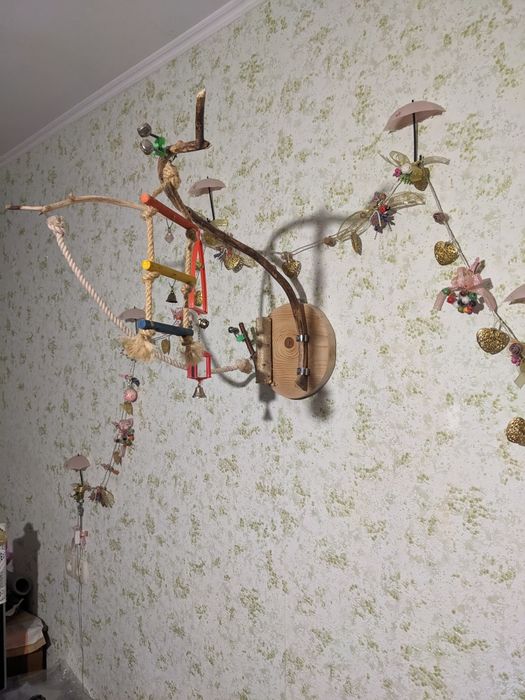 Присада, диснейленд для попугаев