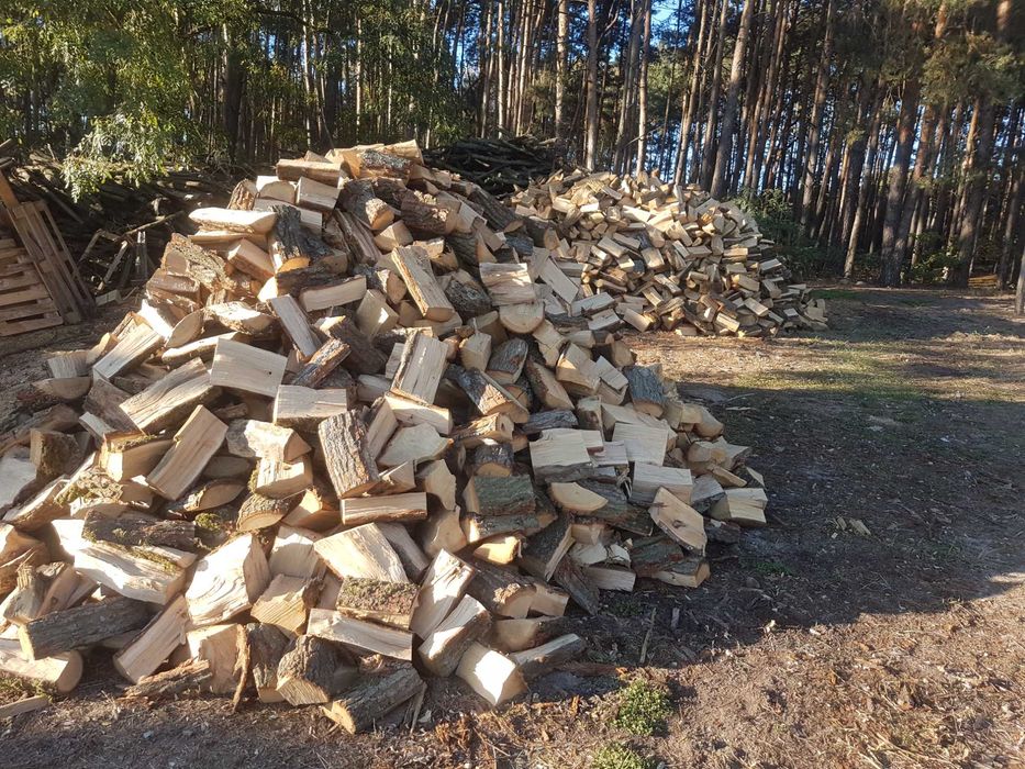 Drewno , drzewo kominkowe - opałowe