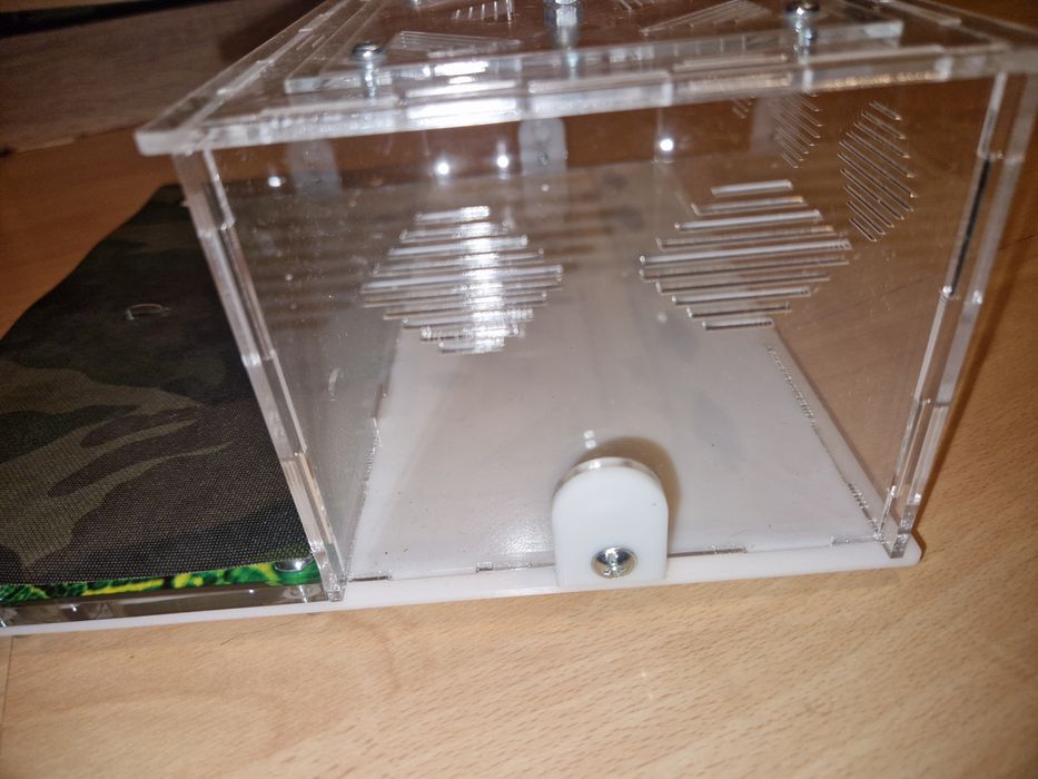 Terrarium dla mrówek