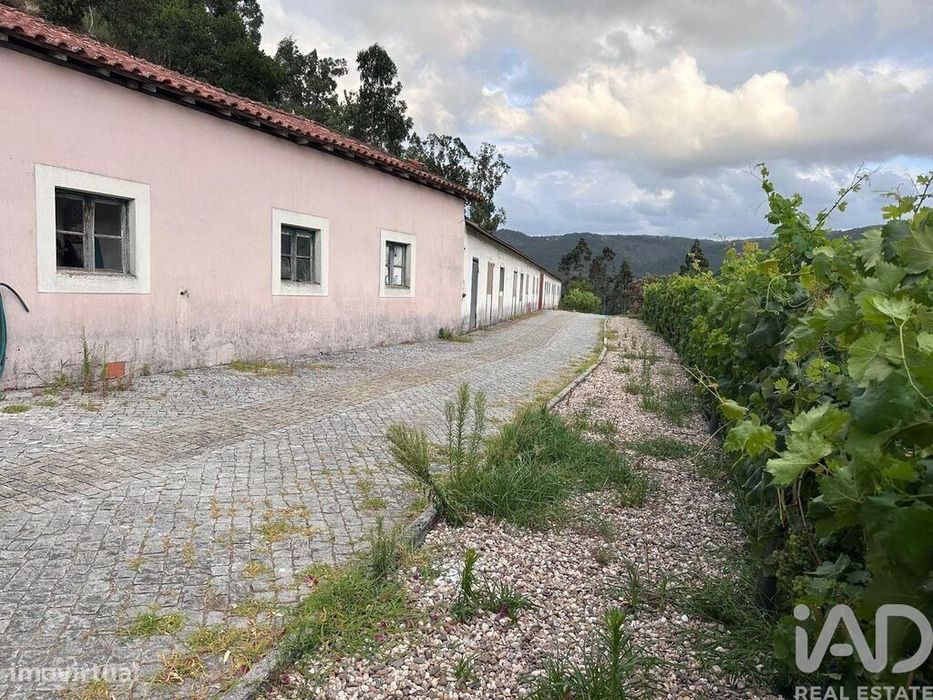 Quinta rural T4 em Valadares de 40000 m2