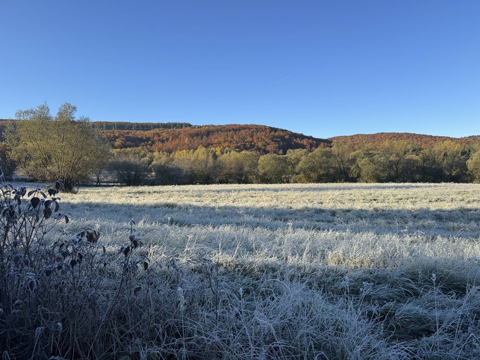 Domek do wynajecia Bieszczady/ferie/narty