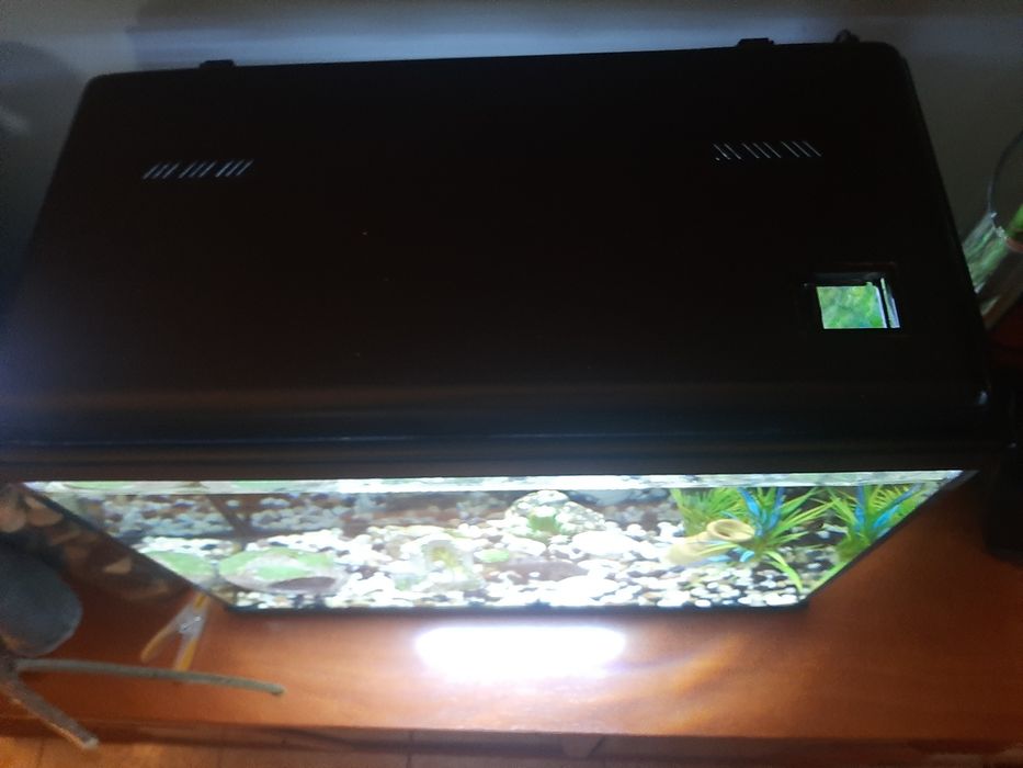 Aquario Completo+Oferta Peixes Filtro Novo e led