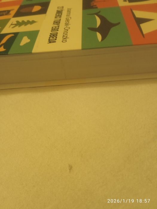 27 śmierci Toby'ego Obeda, książka