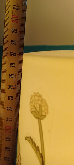 Lampka nocna kwietno-motylkowa