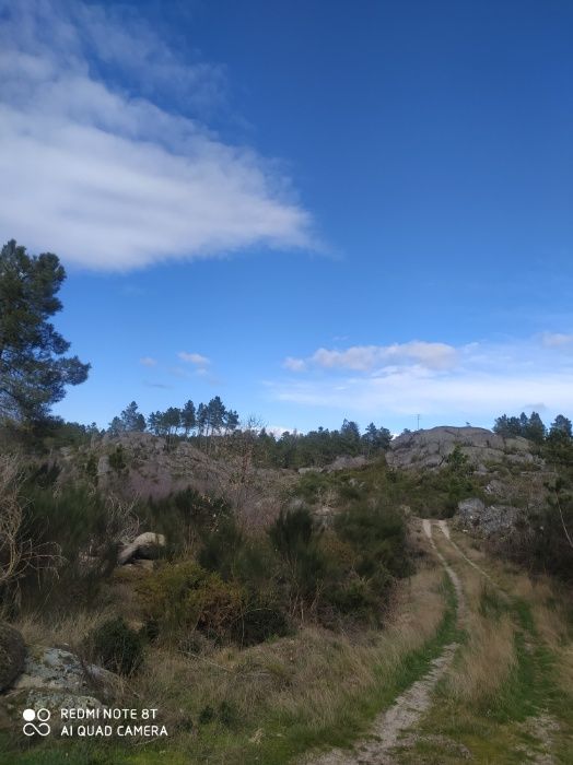 Oportunidade! Terreno 4.000 m2