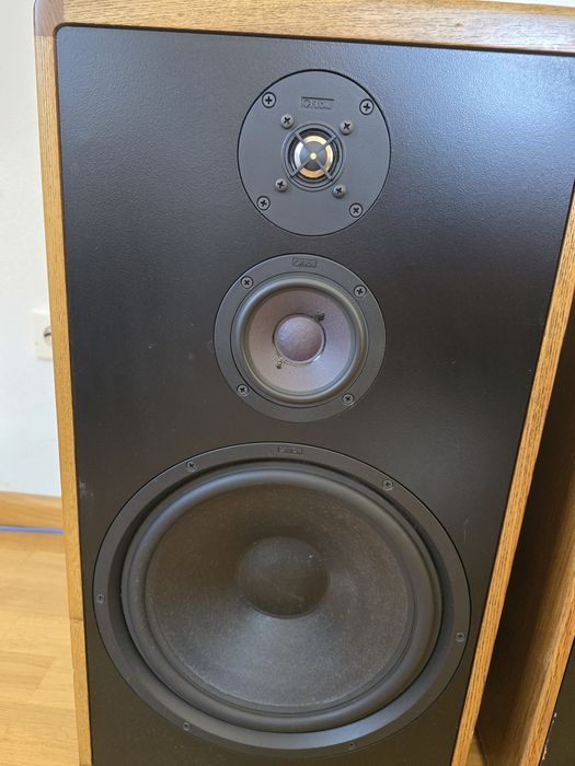 Акустика Canton ct1000