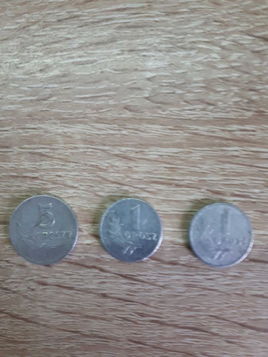 monety kolekcjonerskie