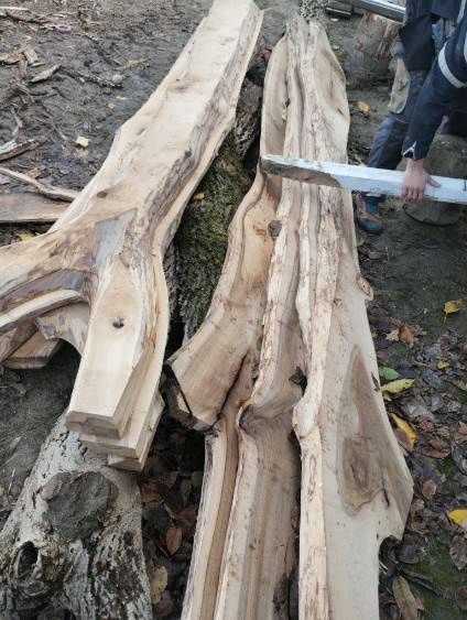 Deski orzecha włoskiego