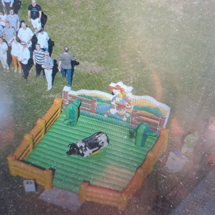 Sprzedam byka rodeo .