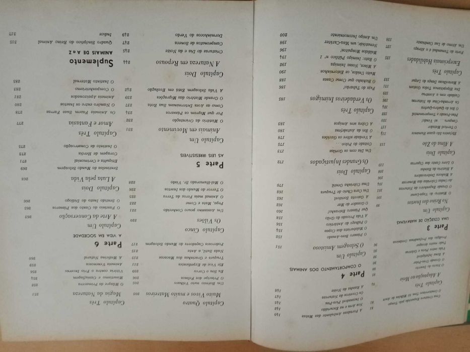 Maravlihas e Mistérios do Mundo Animal