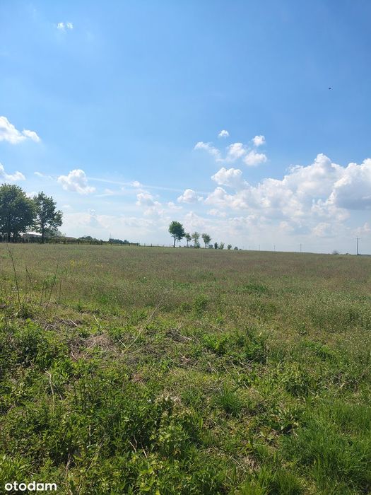 Działka, Stary Dwór