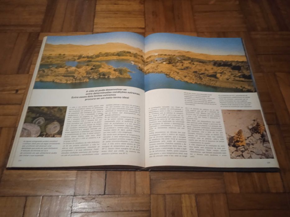 A Vida, Entre o Nascimento e a Morte - Dietmar Todt