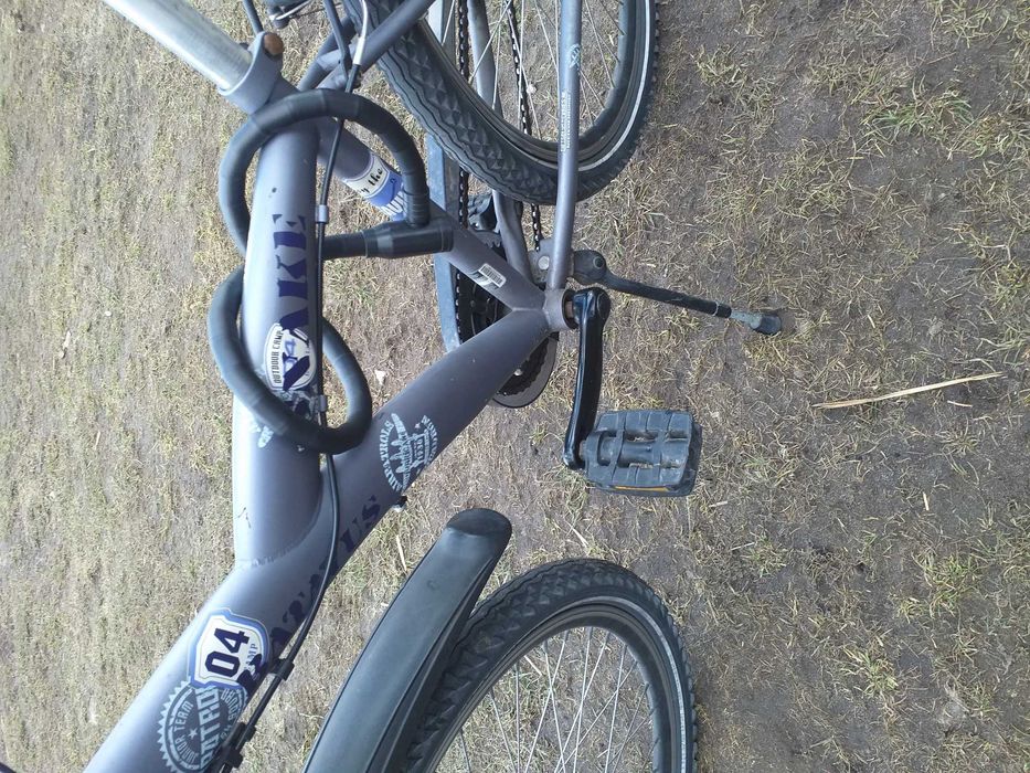 Rower Betavus Snake