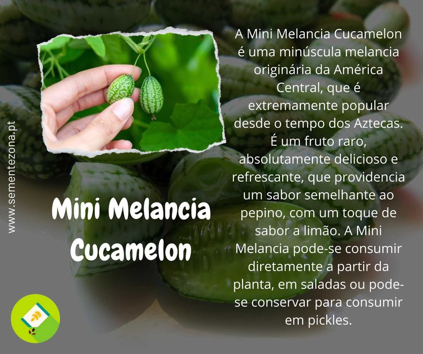 10 sementes de Pepino Cucamelon variedade rara