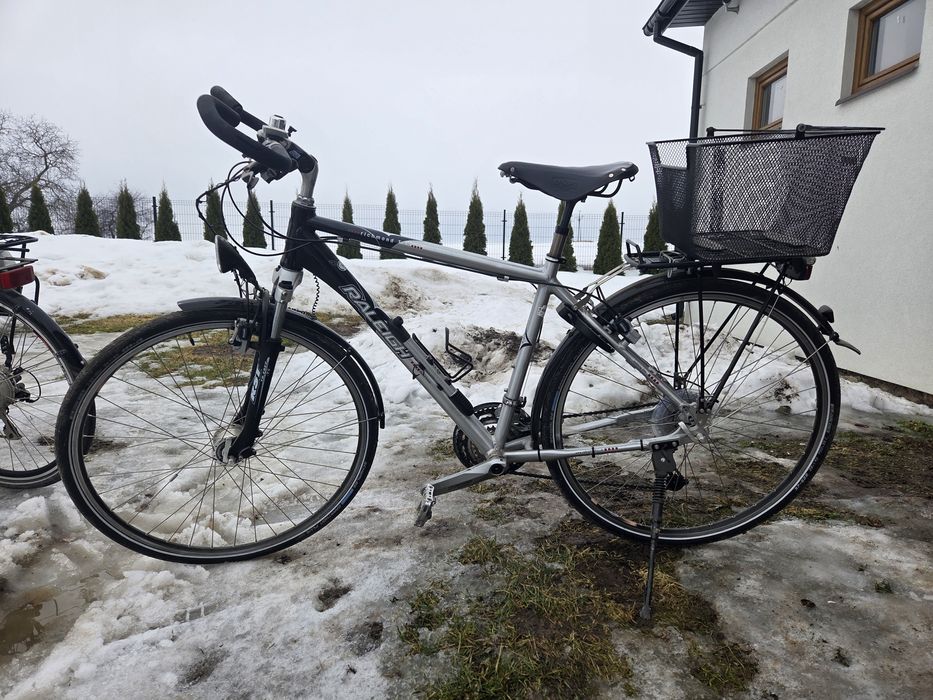 Rower raleigh richmond RTV