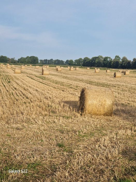 Działka rolna w Leszkowy