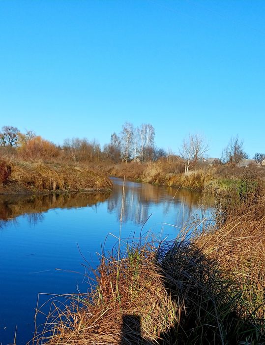 Будинок газифікований з виходом до річки с. Степанки
