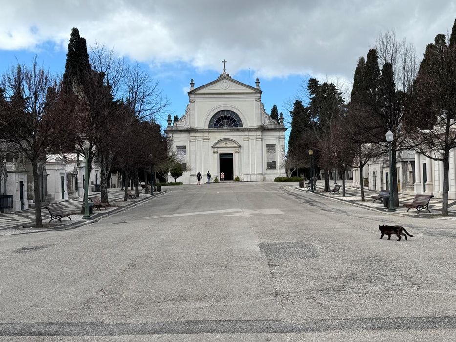 JAZIGO - Cemitério dos Prazeres - OPORTUNIDADE