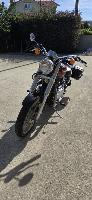 Mota Triumph America