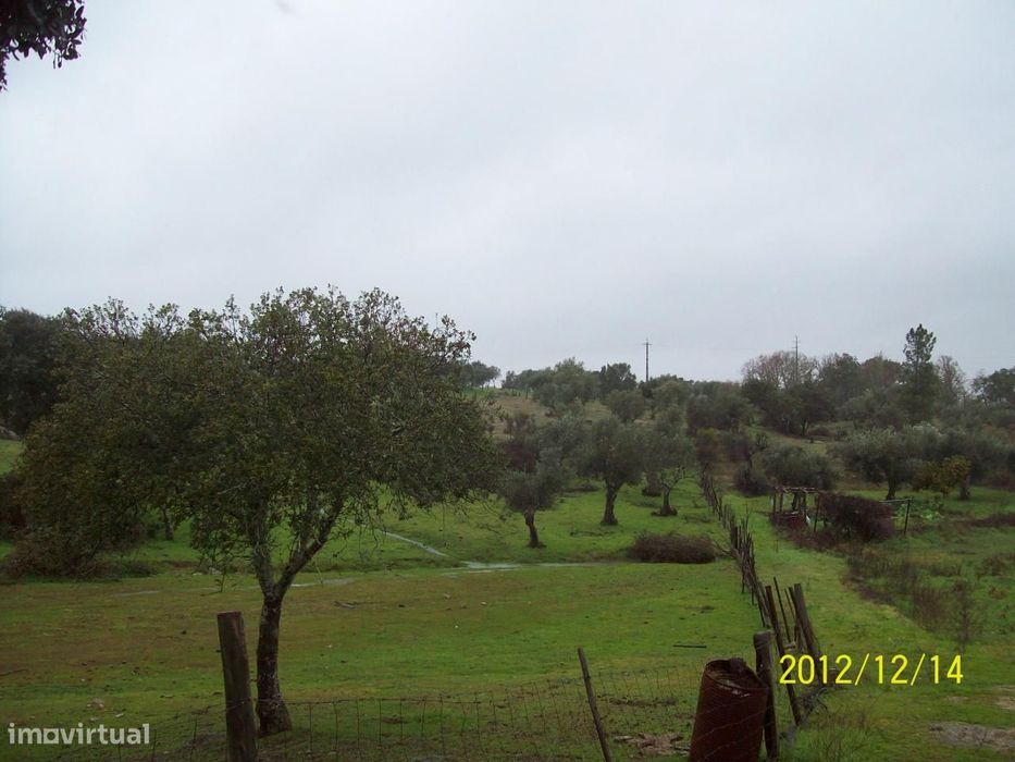 Herdade do Monte da Pedra.