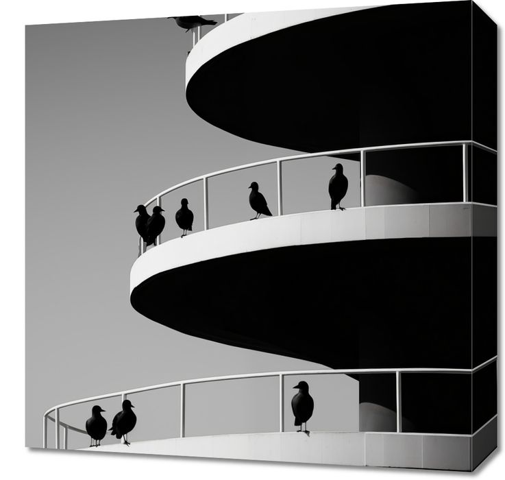 Obraz 50x50cm Krucze Odcienie