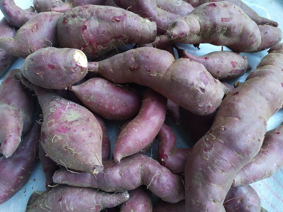 Batatas Doces Biológicas
