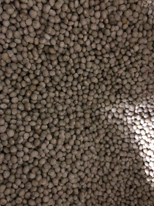 Sprzedam łubin słodki