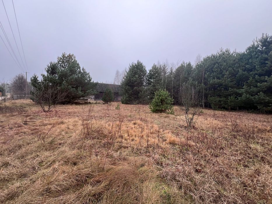 Siedlisko 4300 m2 w Okolicy Lipki Nowe Gmina Stoczek