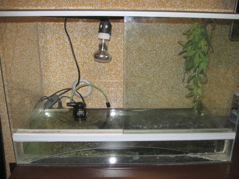 Sprzedam terrarium.