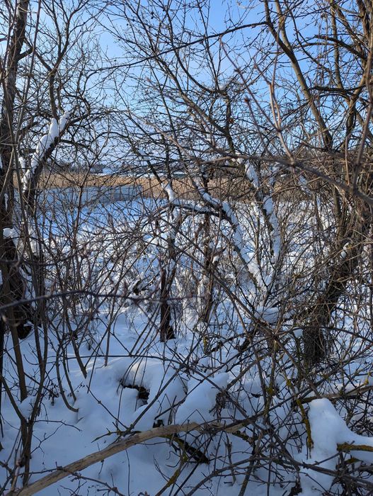 продам будинок с. Піщанка