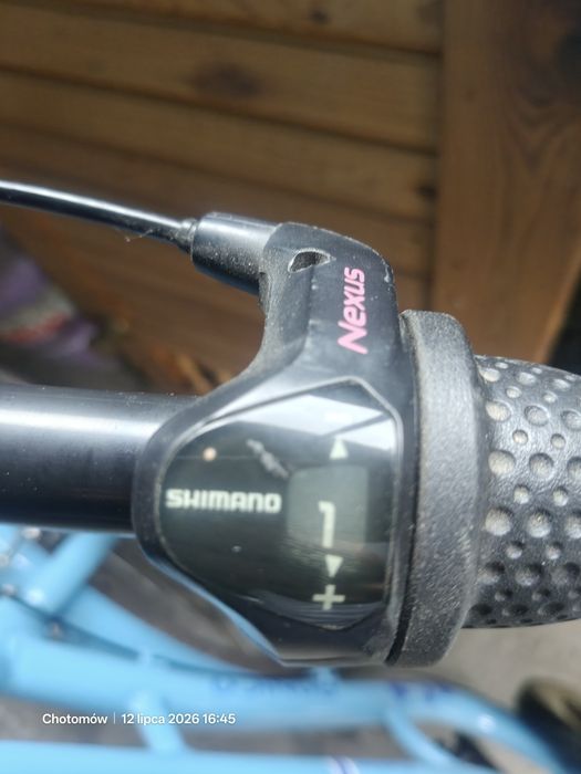 Rower damka BONICO