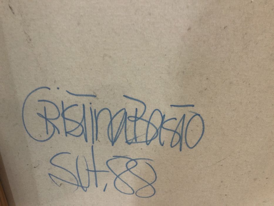 Tecnica mista sobre tela assinado Cristina Basto