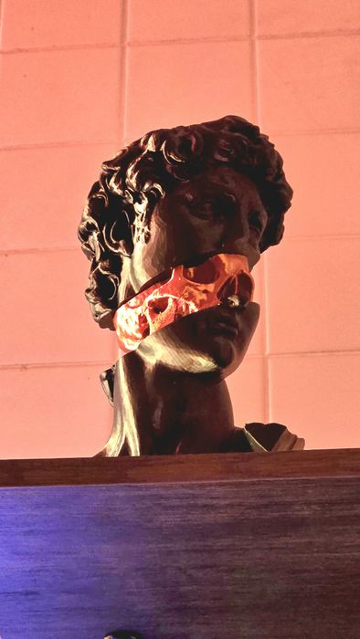Busto de David c/caveira