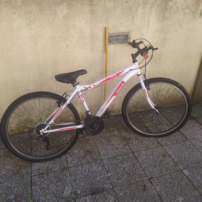 Bicicleta juvenil Team